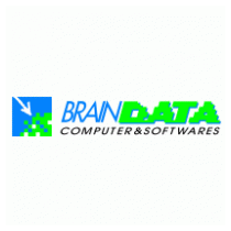 Brain Data