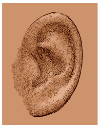 Das menschliche Ohr - Grafikstil
