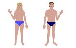 Human body, man and woman
