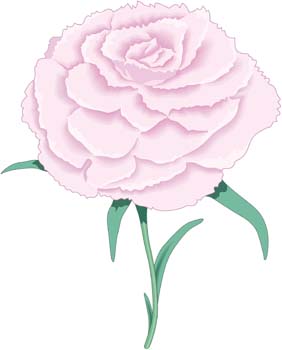 Rose Flower Vetor 10